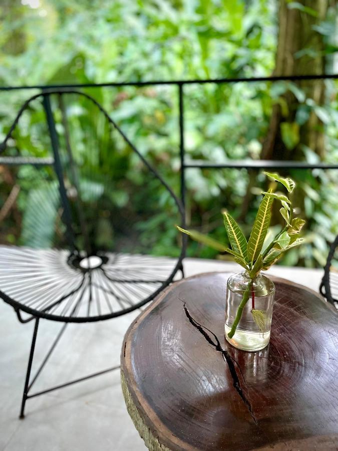 Casa Eden - Modern Peaceful Jungle Apartments Cocles Exterior foto
